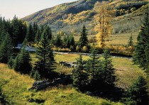 Production Website Wage Management Network Clothing Wage Management Wage Management Installation Video