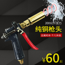 Water gun high pressure all copper joint extension rod foam pot adjustment car wash machine set Family