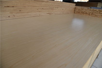  Rabbit baby E1 grade 17mm pine core ecological board(elegant style)