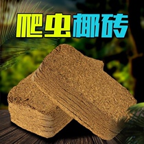 Spider mat soil compressed coconut brick After soaking a large pot of coconut soil compressed soil sterile soil Turtle hibernation soil scorpion