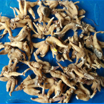 Tibet specialty wild hand ginseng bergamot 250g origin delivery Stone Pot Chicken ingredients