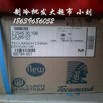 French Taikang compressor CAJ9510T welding joint 1HP R22 brand new original