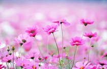 Attendance management system WEB Web version of employee attendance registration system web version installation video