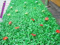 Large simulation extra large wide leaf lawn turf plastic lawn encryption thickening 40*60