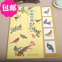 Colorful birds Chinese painting training New series of techniques Tracing painting skills books Flying birds