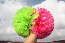 Green-Meired double-headed bicolor cheerleader playball-class cog-grade flower ball