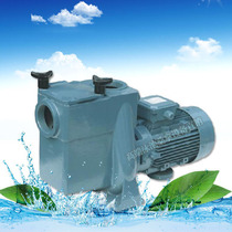 Swimming pool circulating water pump PUWOKE self-priming pump ATS-3HP water pump sewage suction pump 2 2KW iron pump water pump