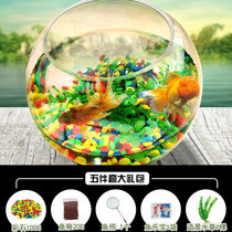 Ecological goldfish tank Round small fish tank glass fish tank turtle tank Small landscaping desktop fish tank glass tank