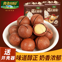 Golden garden Macadamia nuts Xinjiang specialty nut cream flavor snack feeder 200g*2 bags