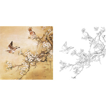 Meticulous painting line drawing script woodpecker bucket 66*66 physical white paper printed draft with color picture 458T