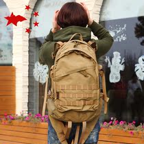 I am a special force fire Phoenix designated field backpack tactical bag outdoor backpack travel mountaineering bag