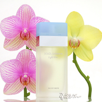 Dolce Gabbana Duga Banna Comfort Blue Lady Light Perfume Light blue25 50 100ML