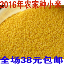 Yimeng Mountain Farmers Self-planted Small Yellow Rice to Eat Millet Moon Rice Baby Rice Valley Rice 500g