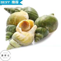 Food fresh notes Canada Jade snail grade cooked frozen boat frozen fresh 500g
