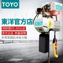 Toyo Toyo Japan Chain Hoist 380V Industrial Hoist Running Chain Crane