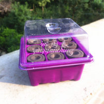 Purple nursery box nursery box nursery box 9-hole multi-meat rose seeds for sale