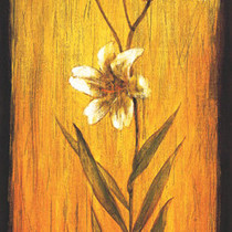 South Korea new Korean porch background wallpaper wallpaper mural MuralArt M1190-1 M1191-1 M1192-1