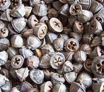 Chinese herbal medicine Chinese herbal medicine one bite clock 500g