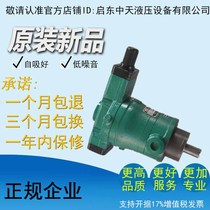 10 16 25 32 40 63 80 100 160 250 400YCY14-1D Qidong axial plunger pump