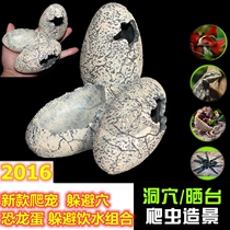 Xijin HAGEN crawling pet reptile box turtle shell buffalo skeleton bone dinosaur egg basin lizard to avoid landscape