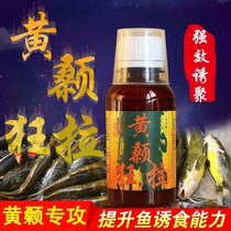 Specializes in yellow pelteobagrus small medicine Yellow-spicy Ding Bait Additive Reservoir Wild Fishing Aung San Spurs Special fishing for small drugs