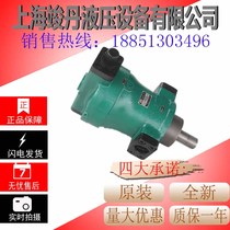 Factory direct sales 160YCY 160YCY14-1B axial piston pump high pressure piston pump 13122588511