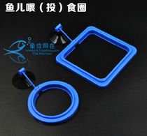 Aquarium grass tank fish suspension feeding ring dispenser floating feeding Circle Square feed fixed point