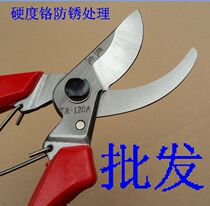 Taiwan farmers fruit tree scissors pruning scissors flower scissors horticultural scissors garden tools orchard tools