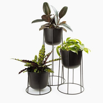 Iron floor-standing flower stand simple indoor living room balcony plant flower pot rack Nordic flower pot rack green radish flower shelf