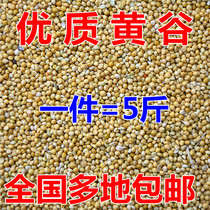 Yellow millet with Shell millet corn tiger skin peony Parrot bird food feed 5kg