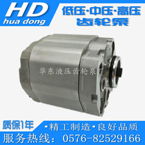 Car 12 24v electric oil pump gear pump electric micro self-priming diesel fuel pump small oil pump
