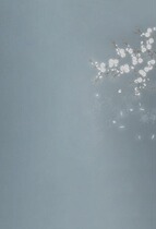 Plate woman costume background photo studio costume painting background ancient costume painting background PZ-1328 sea animal husbandry Silver