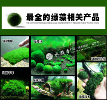 Aquarium township] Green algae collection pure natural green algae ball Green algae net Aquatic plant fish tank landscaping shrimp tank Shrimp food