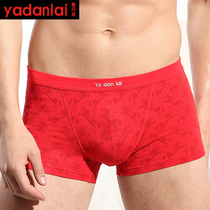 Yadan to the year of life red underwear mens boxer pants mens 5299
