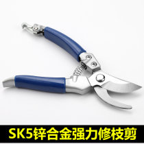 Small and small simple fruit tree scissors pruning shears labor-saving household trimmer flower branches light