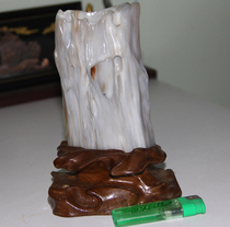 Tree fossilized Jade Wood fossil tree fossil silicified wood strange stone ornamental stone original stone boutique stone ornamental stone