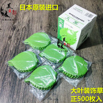 Imported Big Leaf Sushi Grass Sashimi Cooking Platter Decoration Green Gum Leaf Green Leaf Simulated Leaf Grass 500