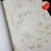 Determined to fang qiong wallpaper wallpaper FM313501 FM313502 FM313503 FM313504 FM313505