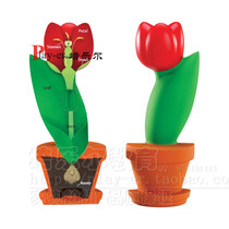 Flower profile model Childrens Early Childhood Science Laboratory Exploration Flower Structure Design Award