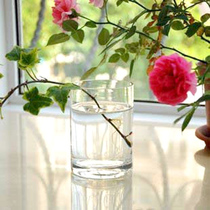 Round bucket hydroponic glass vase Transparent glass flower arrangement vase Straight tube hydroponic vase Wedding road lead vase