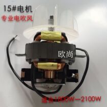 Hair salon professional high power hair dryer motor Motor accessories Hair dryer motor accessories 15 motor with fan blade