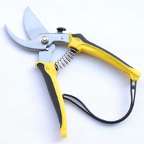 (Authentic Witley) 200mm high-grade alloy stainless steel fruit branch shears 8 inch gardening shears fruit shears pruning shears