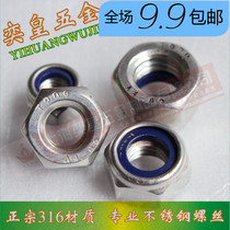 316 Stainless Steel Nylon Lock Nut Self-Locking Nut M5M6M8M10 to M20 DIN985