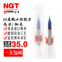 65 degree 2-blade imported tungsten steel alloy ball end mill small diameter flat knife R0 15-0 45 D0 2-0 9mm