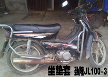 Jin Long JL100-3 Motorcycle Pad Cover Curved Beam Car Mesh Waterproof Sunscreen Insulation Leather Seat Cover