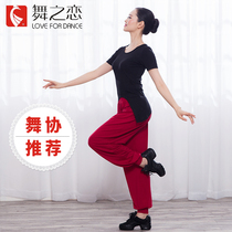 Dance Love 2018 new adult dance suit square dance short sleeve dancing dress two-piece set