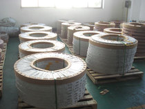 0cr25ni20 Stainless steel strip 1cr13al4 2cr23ni13 309s 310s Stainless steel strip