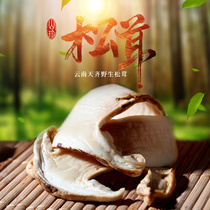 Tianqi Yunnan specialty matsutake dried goods 40g