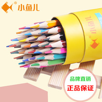 Little fish student stationery color pencil 12 24 36 48 color barrel painting pen Secret garden color pencil