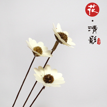 (Small white Chrysanthemum) Sun flower Small Daisies Dried flower bouquet Natural material plant flower arrangement Pastoral Japanese small fresh